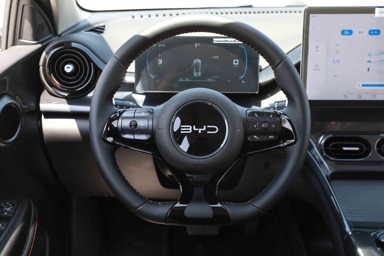 بي واي دي e2 2025 BYD E2 LUXURY - WHITE inside BLACK | Export Only