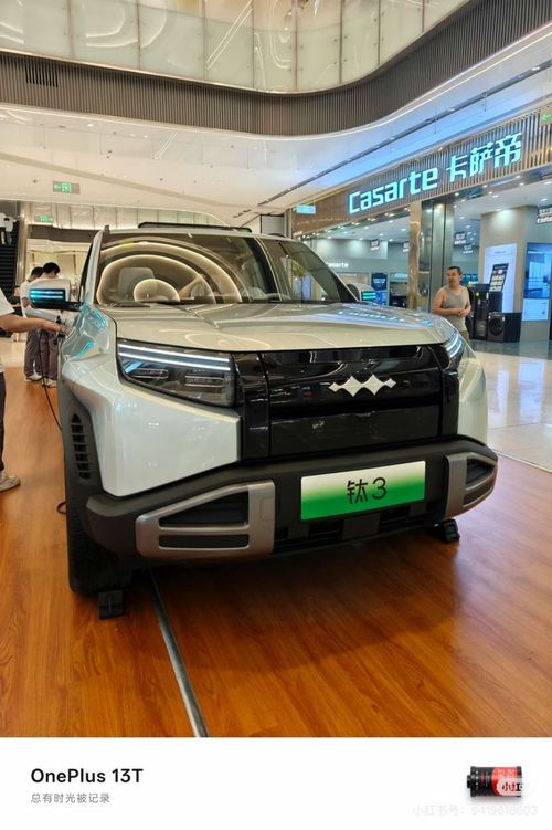 BYD Leopard Titanium 3