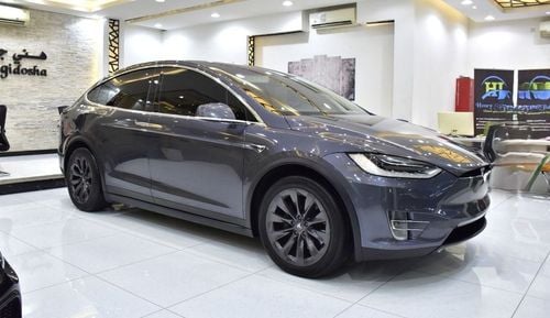 تسلا موديل اكس EXCELLENT DEAL for our Tesla Model X 100D - Long Range ( 2019 Model ) in Grey Color GCC Specs