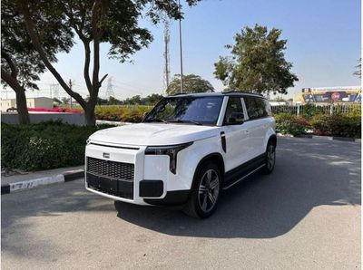 روكس 01 Automatic .Electric and petrol .all wheel drive . 5door  hp 500