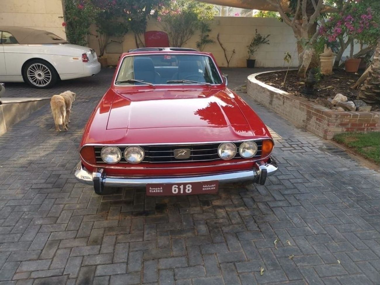 ترايمف ستاغ