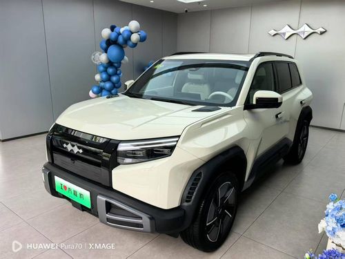 بي واي دي ليوبارد Titanium 3